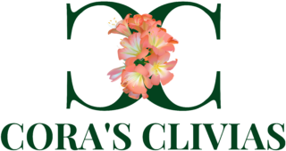 Cora's Clivias